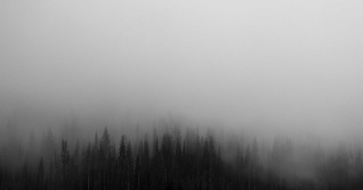 Best Prices for Vape Products in Kitsap County: A Local Shopper’s Guide